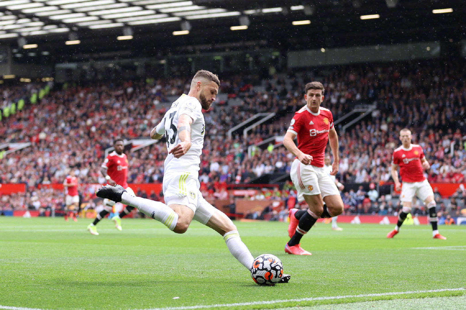 地的球迷见 地的球迷见